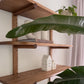 Piz Palü Bookshelf in Solid Oak